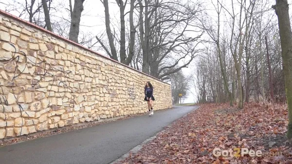 Mini Mitzi squats against a stone wall to take a badly needed piss  - Public, Petite, Outdoor, Spreading, Close Up, Pussy, Skirt, European, Czech, Non Nude  - Photo 1