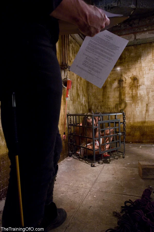 Naked female Trina Michaels is masturbated while in a cage by a couple of men  - Hairy, MILF, BDSM, Bondage, White, Blonde  - Photo 5
