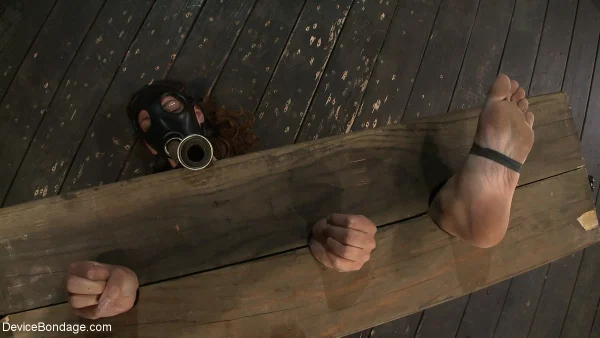 Cutie Allie Haze gets toyed by her handler while restrained in the stocks  - Bondage, Fetish, BDSM, Petite, Sexy, Natural Tits, Pussy, Feet, Teen, Clothed  - Photo 4