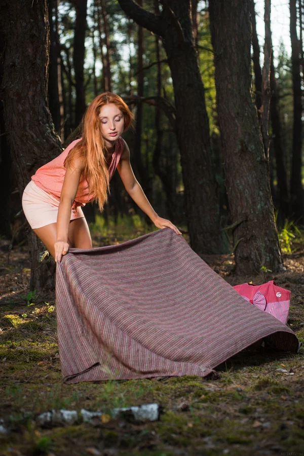 Young redhead gets totally naked on a blanket while reading a hardback novel  - Redhead, Babe, Teen, Glamour, Perfect, Beautiful, Solo, Model, Sexy, Cute  - Photo 2