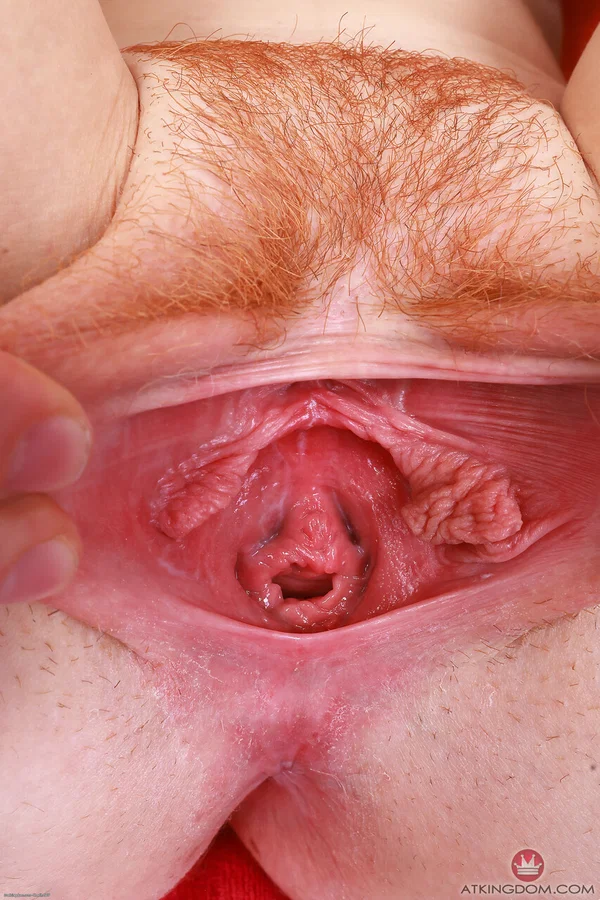 Latina amateur Ava Davis puts down her panties before a vaginal closeup  - Latina, Babe, Amateur, Solo, Beautiful, Pretty, Skinny  - Photo 16