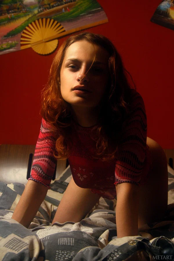 Natural redhead in flimsy top shows her big tits and bare ass on her bed  - Face, Hairy, Redhead, Babe, Non Nude, Big Tits, PAWG, Ass, Beautiful, Cute  - Photo 19