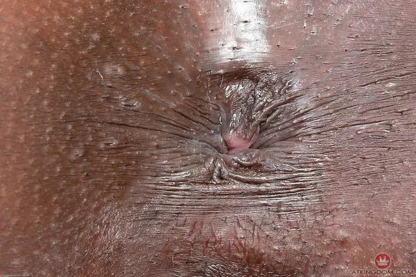 Petite black girl Ana Foxxx flaunts her nice ass before showing her pink pussy  - African, Ebony, Close Up, Pussy, Ass, Panties, Spreading, Anal Gape, Clothed, Amateur  - Photo 13