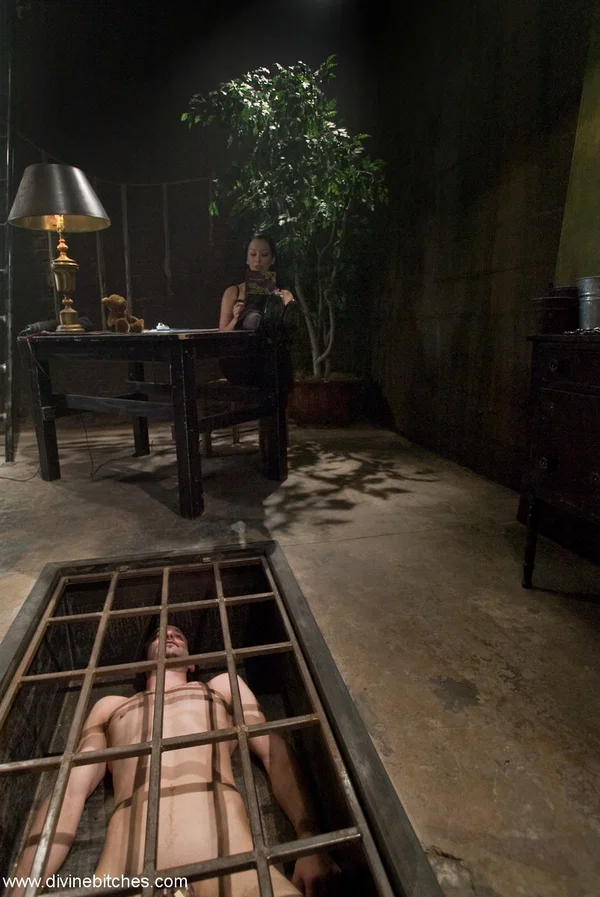 Dark haired woman January Seraph teases male sub she keeps under the floor  - Femdom, Bondage, MILF, BDSM, Spreading, Non Nude, Pussy  - Photo 9