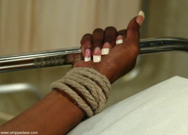 Whipped Ass featuring DragonLily, Stacey Cash Hot Images  - Ebony, MILF, Femdom, Petite, Lesbian, Strapon, Bondage, BDSM, Pussy, African  - Photo 1