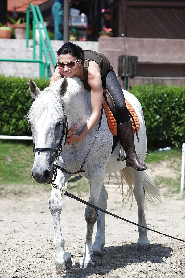 Pornstar Aletta Ocean is riding a horse outdoor in glasses  - Outdoor, Pornstar, Glasses  - Photo 7