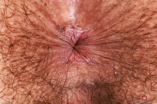 Brunette amateur with big tits shows her hairy pussy and anal holes  - Hairy, Anal, Beautiful, Amateur, Lingerie, Solo, Ass, Brunette, PAWG, Babe  - Photo 21
