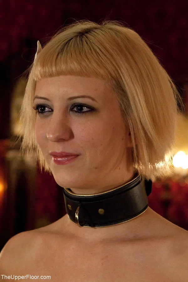 Big titted blonde and her girlfriend tie up a naked slave girl in bondage  - Butt Plug, Curvy, Bondage, Chubby, Thick, Groupsex, Anal, BBW, Big Tits, Natural Tits  - Photo 1