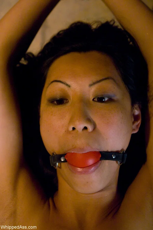 Whipped Ass starring Felony, Harmony, Tia Ling Naked Pics  - Fisting, Fetish, Threesome, BDSM, Asian, Amateur, Pussy, Shaved, Latina, Lesbian  - Photo 3