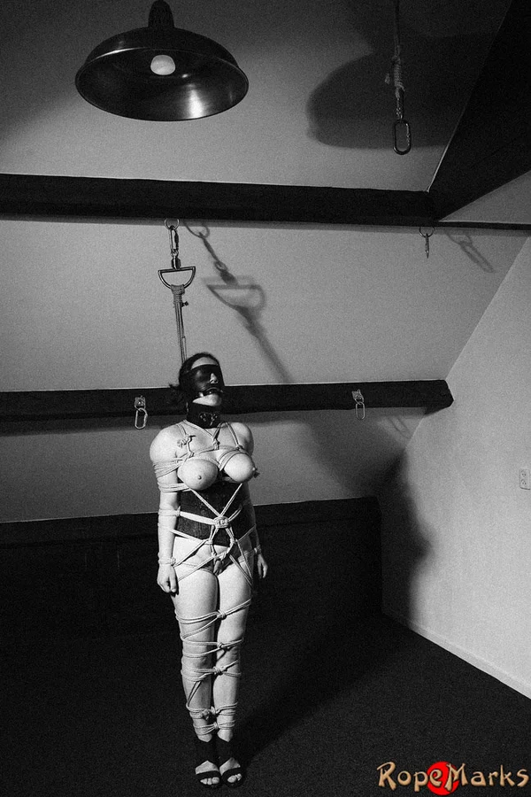 Hooded model Amely is tied and suspended by ropes in an attic setting  - Bondage, Blindfold, Latex, BDSM, Big Tits  - Photo 6