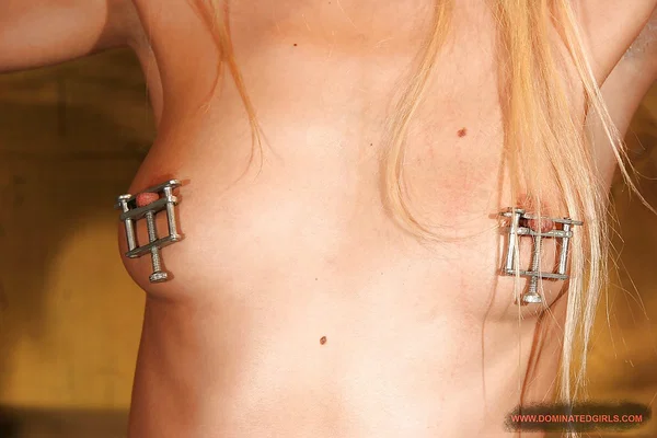 Sweet blonde babe with small tits gets bound and ballgagged  - Bondage, BDSM, Ass, Pussy, Face, Beautiful, Babe, PAWG, Solo, Big Tits  - Photo 14