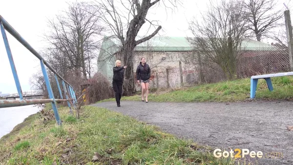 Antonia Sainz and Vanessa Hell squat to pee on a path while out for a walk  - Pissing, MILF, Public, Spreading, Outdoor, Close Up, Reality, Skirt, Pussy, Shaved  - Photo 2