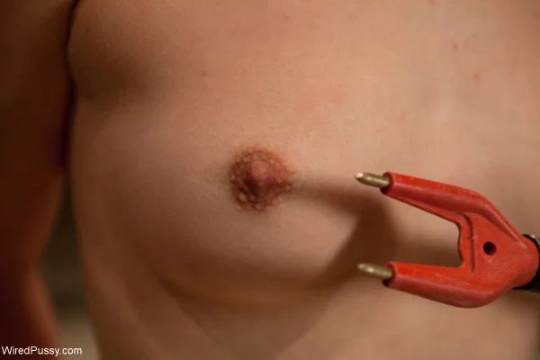 Wired Pussy performed by Bobbi Starr, Juliette March Porn Pictures  - Mom, MILF, Nipples, Brunette, Petite, Bondage, Natural Tits, Lesbian, BDSM, Pussy  - Photo 8