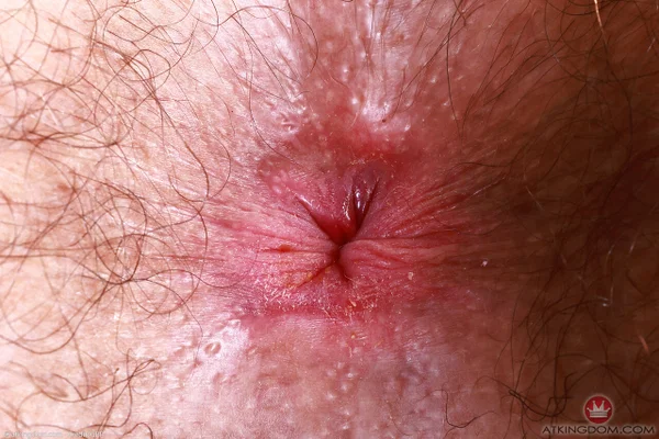 Tattooed girl Pearl Sage shows the bushy hair around her vagina  - Hairy, Tall, Pale, Skinny, White, Amateur  - Photo 21
