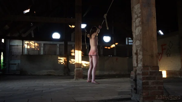Pain slut Noa Livia moans and screams her way thru being whipped  - BDSM, Bondage, Tiny Tits, Skinny, Ass, Dildo, PAWG  - Photo 3