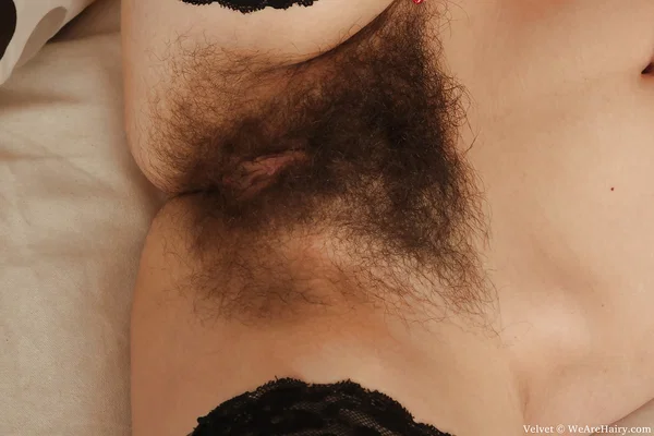 Hot babe Velvet taking off her clothes and spreading her legs  - Stockings, Hairy, Spreading, High Heels, Big Tits, Panties, Legs, Ass, Face, PAWG  - Photo 11