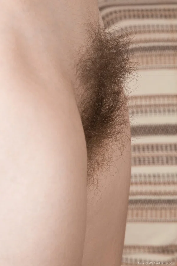 Amateur slim babe Aria spreads her hairy beaver after unboxing a hair dryer  - Hairy, Housewife, Wife, Short Hair, Amateur, Brunette, Sexy, Spreading, Pussy  - Photo 14