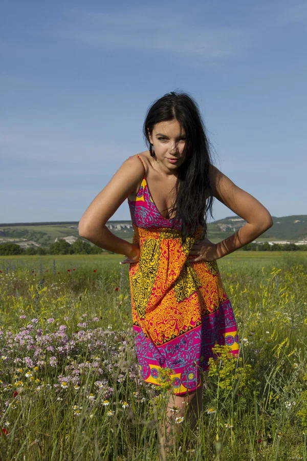 Beautiful brunette girl strips naked in a field of wildflowers  - Outdoor, Shaved, Teen, Beautiful, Dress, Pussy, Clothed, Babe, Nipples, Glamour  - Photo 2
