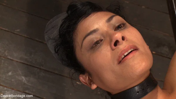 Device Bondage featuring Beretta James Hot Images  - BDSM, Latina, Nipples, Bondage, Dildo, Big Tits, Fake Tits, Pussy, Face, Close Up  - Photo 9