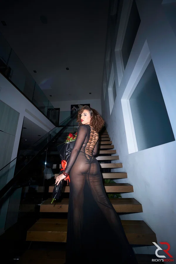 Brunette Willow Ryder poses in her sheer dress among a bunch of black men  - Gangbang, Hardcore, Non Nude, Brunette  - Photo 9