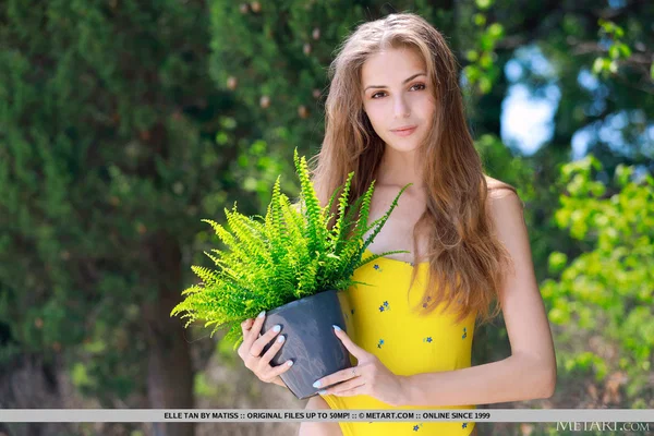 Skinny young girl Elle Tan gets totally naked on a garden wall  - Teen, Spreading, Bodysuit, Cute, Pussy, Bikini, Beautiful, Model, Outdoor, Tiny Tits  - Photo 2