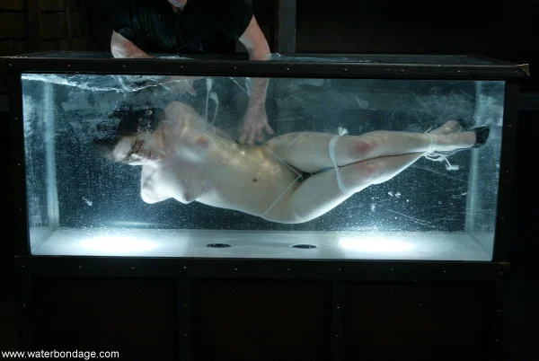 Brunette pornstar Bobbi Starr gets her hands tied up & gets tormented in water  - Bondage, Wet, Hairy, Fetish, BDSM, MILF, Sexy, Brunette, White  - Photo 10