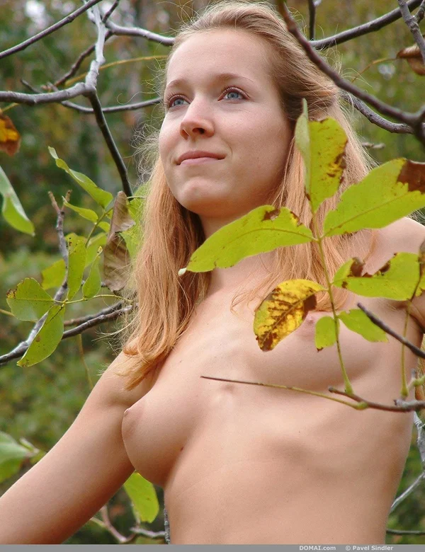Nice teen stands in the woods with her hair in a ponytail while totally naked  - Outdoor, Teen, Face, Cute, Glamour, Skinny, Ass, Solo, Pussy, Babe  - Photo 11