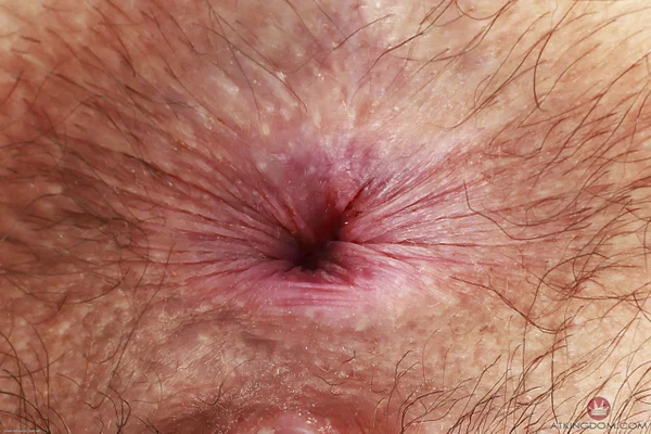 ATK Hairy performed by Gigi Nude Pics  - Hairy, Anal, Pissing, Spreading, Outdoor, Tiny Tits, Amateur, Pussy, Feet, Close Up  - Photo 18