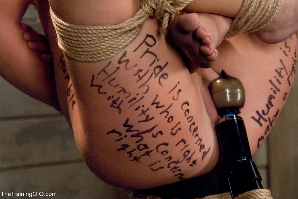 Naked white girl Savannah West is suspended by ropes above a sex toy  - Bondage, BDSM, Hairy, Blonde, Brunette, White  - Photo 13