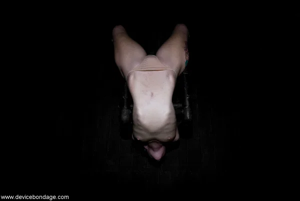 Kinky blonde babe Sarah Jane Ceylon hangs upside-down in a BDSM dungeon  - MILF, Bondage, Fetish, Close Up, Dildo, Face, Blonde, BDSM, Pussy, Tattoo  - Photo 4