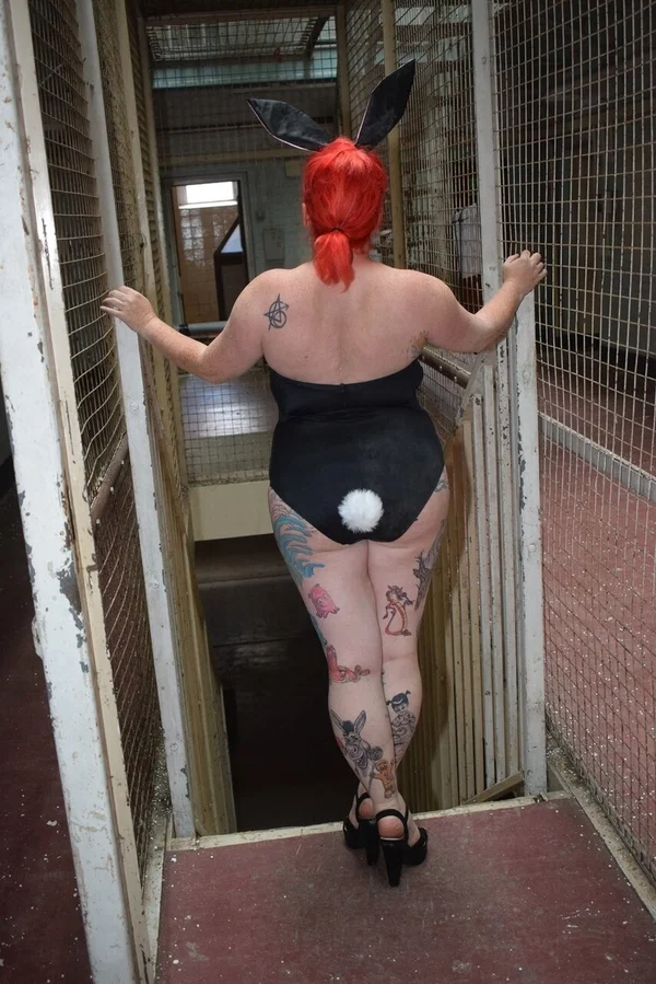 Tattooed redhead Mollie Foxxx models in a bunny costume and glasses  - Amateur, Mature, Cosplay, BBW, Curvy, Ass, Thick, Chubby, Glasses, Redhead  - Photo 10