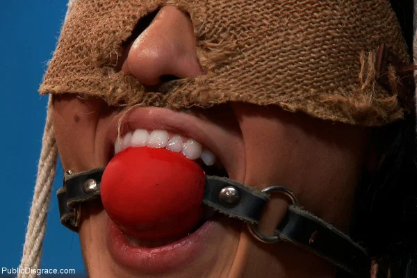 Public Disgrace performed by Jayden Lee, Princess Donna Dolore Nude Porn Pics  - Asian, Bondage, Sexy, BDSM, Brunette, Blowjob, Spreading, Public, Pussy, White  - Photo 3