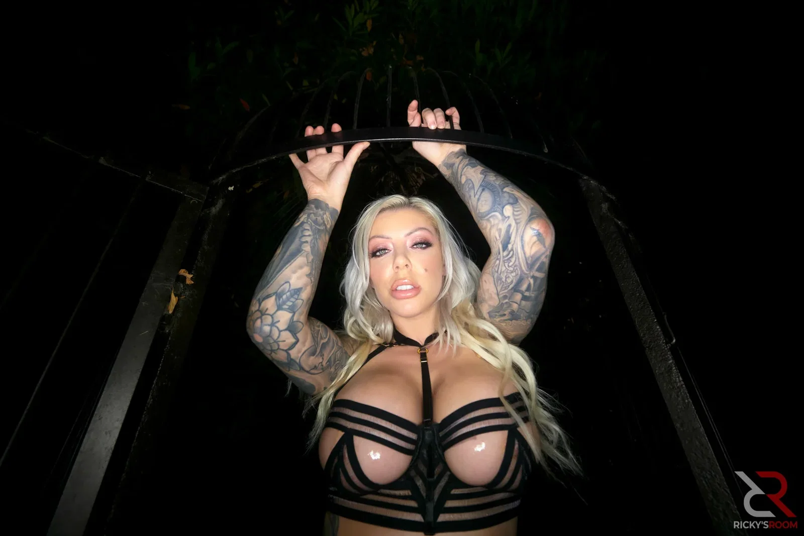 Karma Rx: A Fuckable Work Of Art